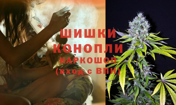 стаф Бугульма