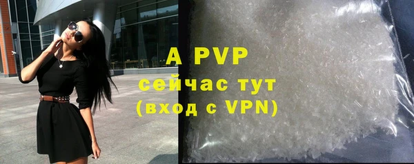 стаф Бугульма
