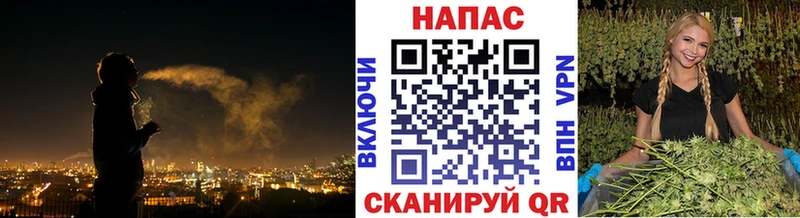 Конопля ГИДРОПОН  сколько стоит  Кириллов 